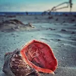 Wave 2 Mamaia Prima Linie La Mare 120mp شقة