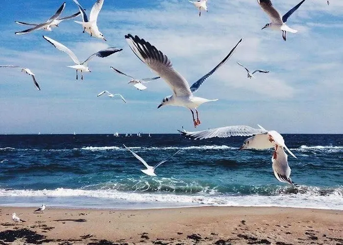 Wave 2 Mamaia Prima Linie La Mare 120mp * Năvodari