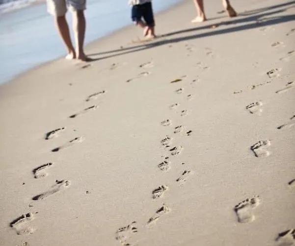 Wave 2 Mamaia Prima Linie La Mare 120mp *