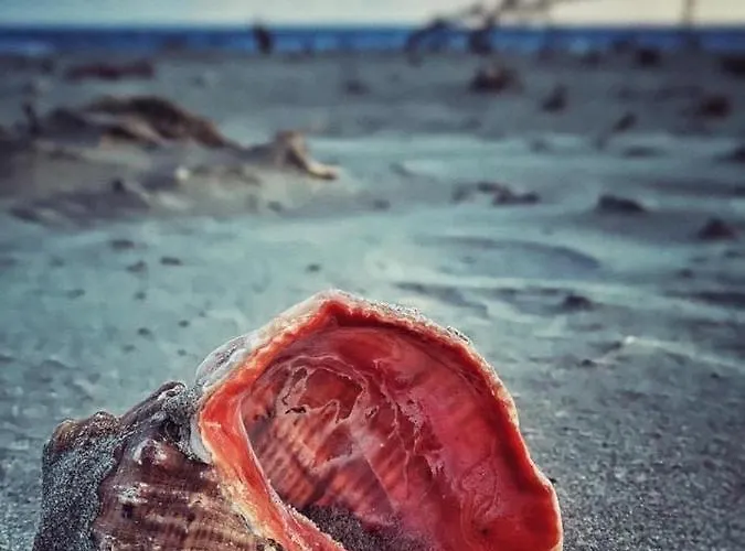 Wave 2 Mamaia Prima Linie La Mare 120mp Appartement