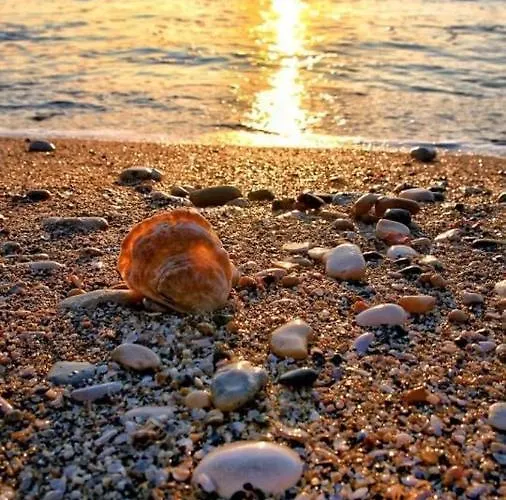 Wave 2 Mamaia Prima Linie La Mare 120mp * Năvodari